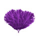 35cm-40cm Ostrich Feathers (Pack of 5)